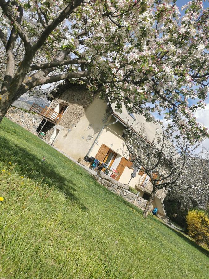 Chambres D'Hotes Les Peschiers Chateauroux-les-Alpes エクステリア 写真